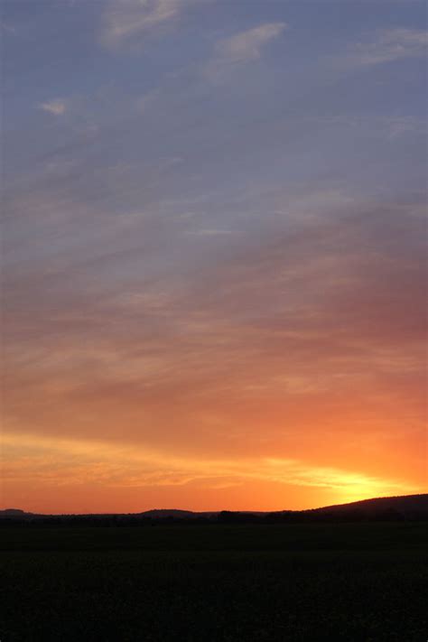 Canola field sunset | Mitch Donavan | Flickr