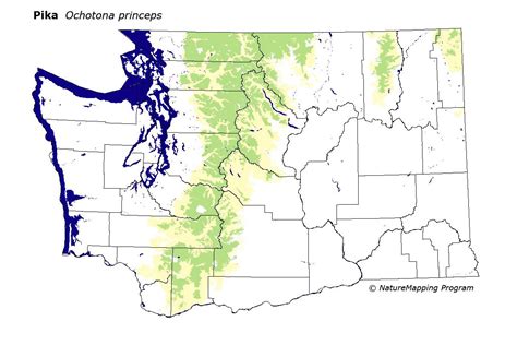 Distribution Map - Pika (Ochotona princeps)