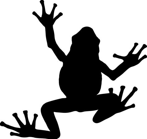 Tree frog Silhouette Toad - black pasture silhoute png download - 2344* ...