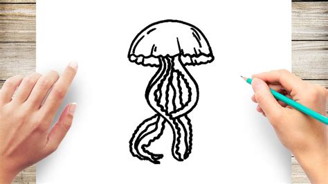 Jellyfish Drawing For Kids