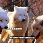 Laughing wolf Meme Generator - Imgflip