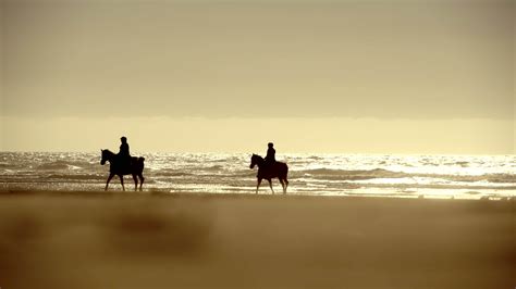 Beach Horse Riding Recreation Theme 24304945 Stock Video at Vecteezy