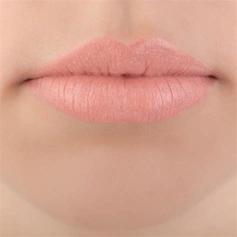 Light Pink Color Lipstick | Lipstutorial.org