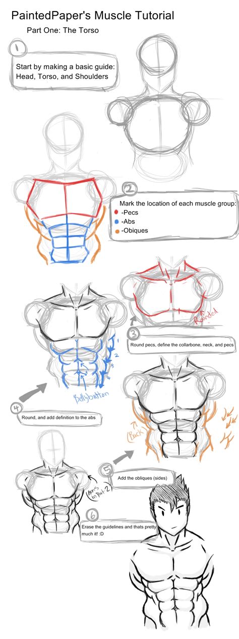 How To Draw Anime Male Chest - ANATOMY MAN CHEST by skullkidwolfdemon ...