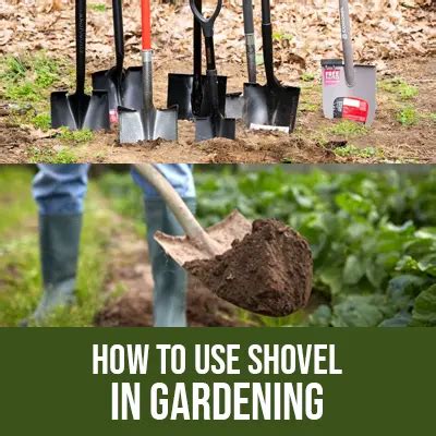 How to Use Shovel in Gardening