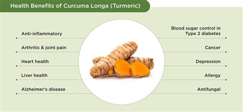 Curcuma Longa (Turmeric) - YesHealth Supplement Mall