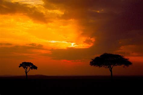 How to Get This Shot - African Sunset