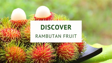 What Is Rambutan Fruit? | Healthy Food Tribe