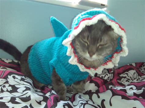 Hand Knit Shark Costume for Cats or Small Dogs Multiple | Etsy