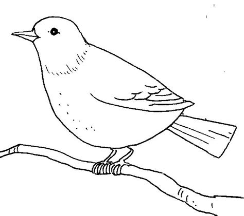 birds clipart outline - Clipground