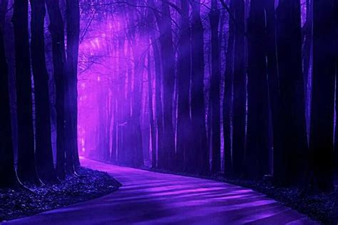 Purple Scenery Wallpaper - WallpaperSafari