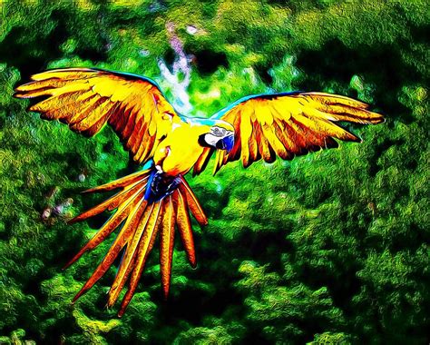 Macaw Blue and Yellow Parrot Flying Free in the Jungle Painting by David Sanders - Fine Art America