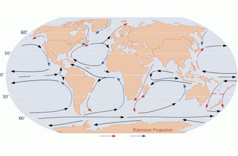 World Ocean Currents Diagram | Quizlet