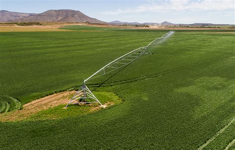 Centre Pivots & Linear Irrigator Systems | Agrico