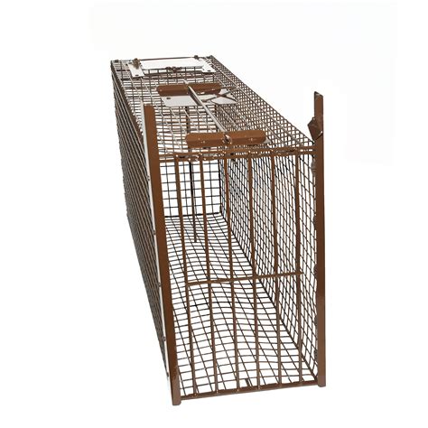 Bobcat Live Cage Trap, Bobcat Pro | ZTRAPS