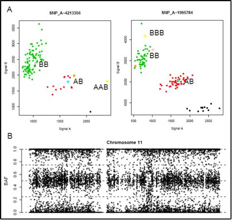 SNP array analysis of cases 7 and 8. A) SNP cluster plots of individual... | Download Scientific ...