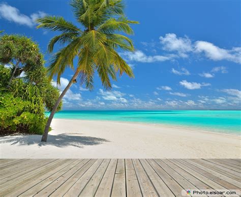 Tropical Beach Scenes Wallpaper - WallpaperSafari