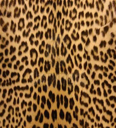 Leopard Print Background - Viewing Gallery