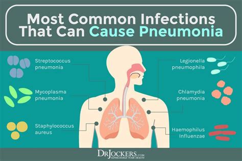 Pneumonia: Causes, Symptoms & Support Strategies | Pneumonia, Healing ...