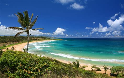 The 5 Best Beaches on Maui - Hawaii Magazine