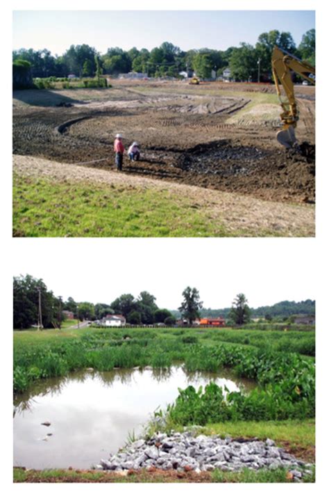 Stormwater Wetland Construction Guidance | NC State Extension Publications