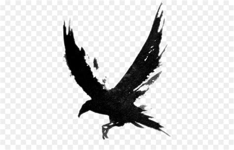 Free Raven In Flight Silhouette, Download Free Raven In Flight Silhouette png images, Free ...