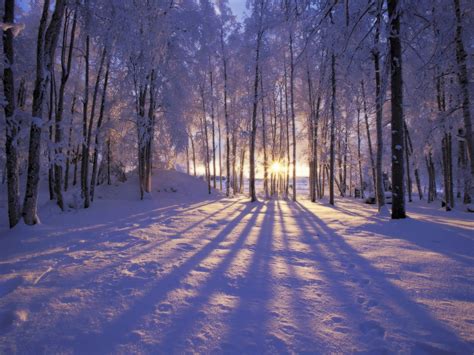 Winter Scenes Wallpaper (55+ images)