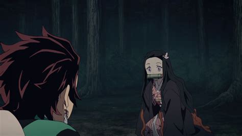 Nezuko Running Gif : Nezuko Killua | Homerisice