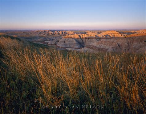 Prairie Grass over the Badlands | Badlands National Park, South Dakota ...