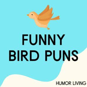 130+ Funny Bird Puns That’ll Leave You Flying With Laughter - Humor Living