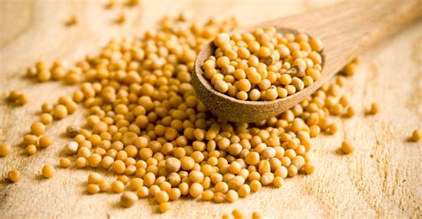 ‘Faith of a Mustard Seed' Bible Verse Meaning Explained