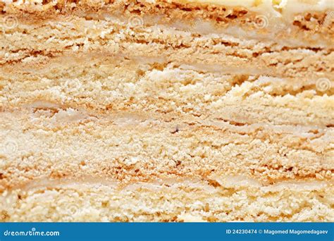 Cake Texture Stock Images - Image: 24230474