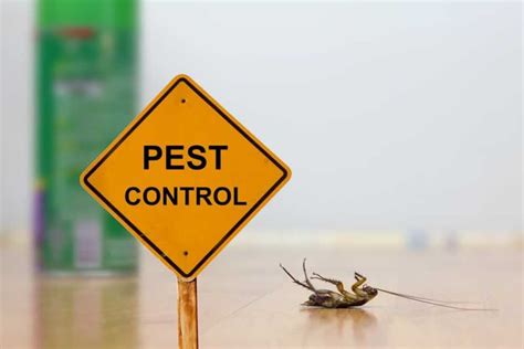 Effective Pest Control Methods