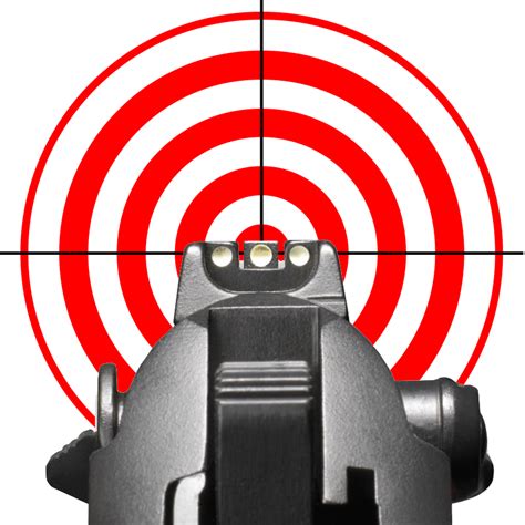 Sight Alignment vs. Sight Picture - Shooting Strategies