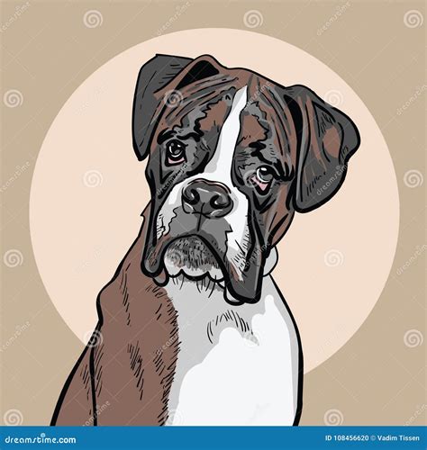 Dog boxer. Illustration stock vector. Illustration of colorful - 108456620