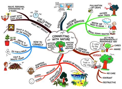 How To Create A Mind Map (+ Examples)