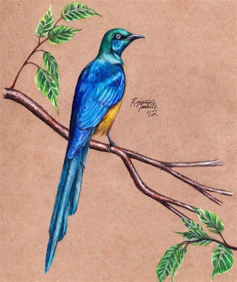 60+ Best Bird Drawing Idea Tutorials - How To Draw Bird? | HARUNMUDAK