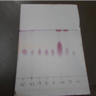 TLC compounds separation after solvent system adjustment 4. DISCUSSION ...