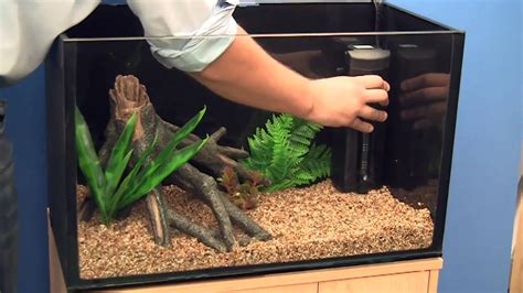 Fish Tank Setup (Beginners Guide): How to Set Up an Aquarium