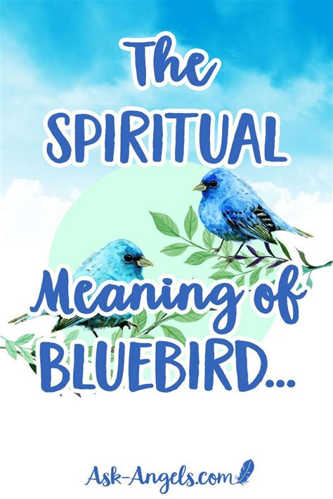 The Spiritual Meaning of Bluebird... | Blue bird, Blue bird art, Bluebird tattoo