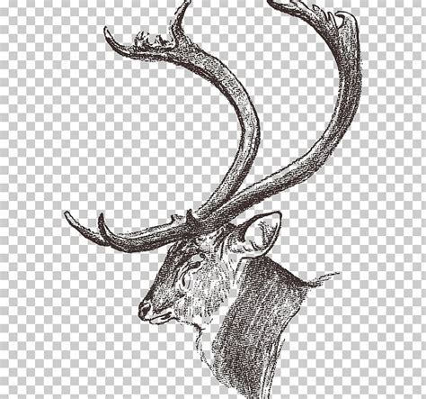 Elk Antler Vector at Vectorified.com | Collection of Elk Antler Vector ...