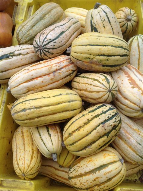 Types Of Winter Squash And Healthy, Plant-Based Vegan Recipes : Plants-Rule