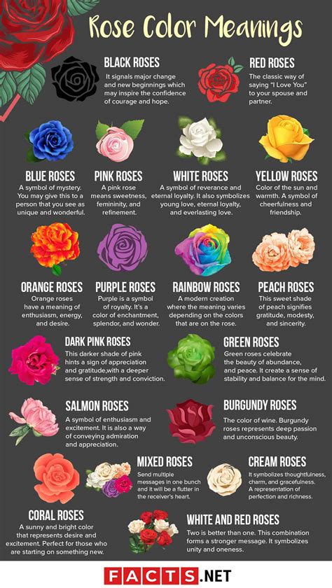 18 Rose Color Meanings That Are Just More Than Romantic | Facts.net