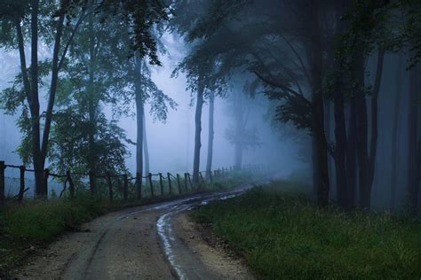 Misty Forest Road Wallpaper