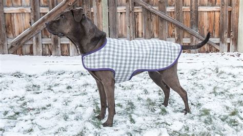 32+ Designs Dog Coat Patterns For Large Dogs | NellyNaveera