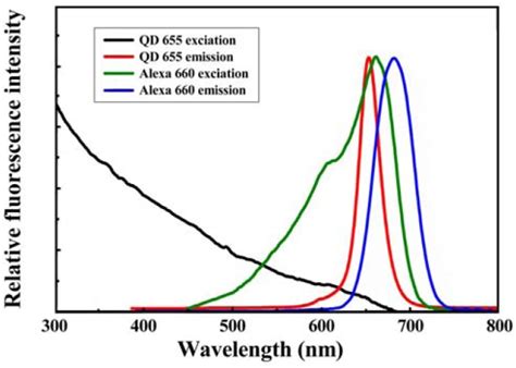 Comparison between the excitation and emission spectra of QD655 and ...