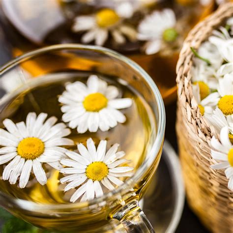 Chamomile Tea Fragrance Oil - CandleScience