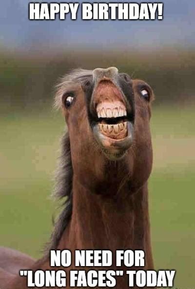 Coworker Birthday Meme - Birthday Funny Wishes Horse Happy Faces Lovers ...