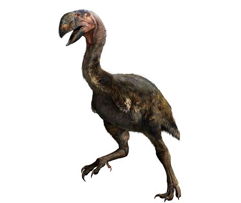 11 Terrifying Dinosaurs That Rocked Feathers Better Than Birds | Audubon