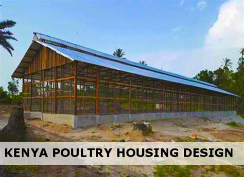 Simple Chicken House Structure In Kenya